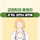 이주영치과의원 | 경기도 과천시 갈현동 교정치과 총정리