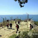 낙동강관리본부 대저생태공원 6 이미지