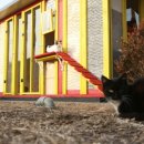 강동구청 성안별관 이미지