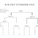 제1회 강화군 야구연합회장배 대진표 이미지