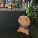 티핫 이미지