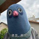 뚜루실내바다낚시터 이미지