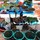 해운대 포장센타 이미지