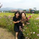 위천면사무소 이미지