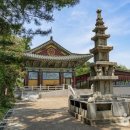 남부순환로328길 49__ | 애견동반, 우면산 아래 대성사…반려견 산책하며 느끼는 불교의 고요함(+반려동물, 전통사찰, 힐링산책...