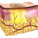 프로메디우스(주) 이미지