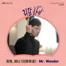 Wonder 이미지