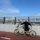 남천동 공영자전거 무료대여소 이미지