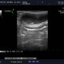 반월동물병원 이미지