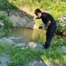 애견은 내친구 이미지