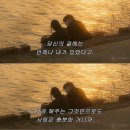 다현농장 | 행복해야 청춘이다 ,