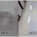 믿음청소방역