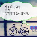 바른체육관 이미지