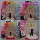 플라이투더뭉 이미지