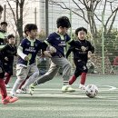 아이비 키즈 스포츠 이미지