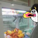 뽑아봅세 이미지