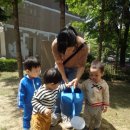 통큰딱따구리 이미지