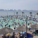 갯골생태공원(해수체험장) 이미지