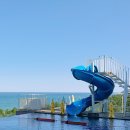 꼬마강아지 | 강릉 세인트존스 호텔 버블파티 아이랑 수영장 후기