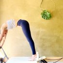 몸새김 웨이트&필라테스 이미지