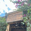 더더더 신나요 노래연습장 | 25.11.17 어메이징 이집트4/시와