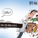 1107 한국보험신문