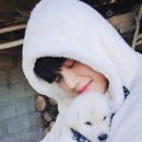 클리어박스 이미지