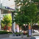 수민헤어스케치 | [홍록기파티하우스 강남점 돌잔치후기] 수민이 첫돌잔치 후기랍니다^0^