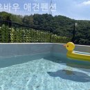 바우바우 | 아미리 풀빌라 바우바우 애견펜션 쉴 틈 없이 바빴던 나에게