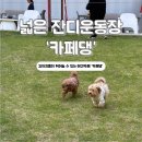 코코콩 | [공주] 넓은 잔디 운동장이 있는 애견카페 추천 ‘카페댕’ 내돈내산 후기