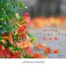 김해수로왕릉 이미지