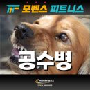 영남가축병원 | 대구대명동헬스장/대구남구헬스장/모벤스피트니스/영대이공대헬스장/대구앞산헬스장/대구헬스장/공수병