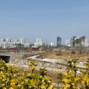 해밀마을타운하우스 이미지