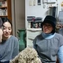 한스 강아지방 이미지