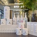 볼리아 송파점