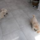 해와달동물병원 이미지