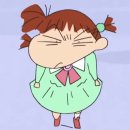 조가네갑오징어 이미지