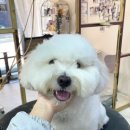 살롱드미모엔뷰티