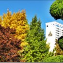 수성구민운동장 이미지