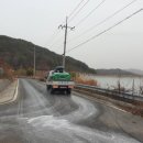 동일농장 이미지