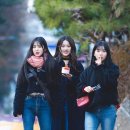 소은 이미지