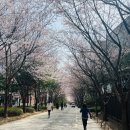 힐링 1코스 이미지