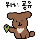 록키맥주 이미지