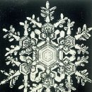 눈이야기 이미지