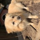 전봉준로 이미지