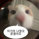 책을 넘기는 듯한 마음으로