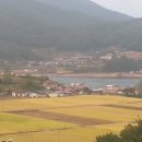사천대교로 이미지