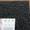 자연과 콩 이미지