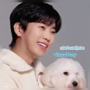 웅 네이버블로그