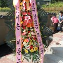 모원재 Daum카페